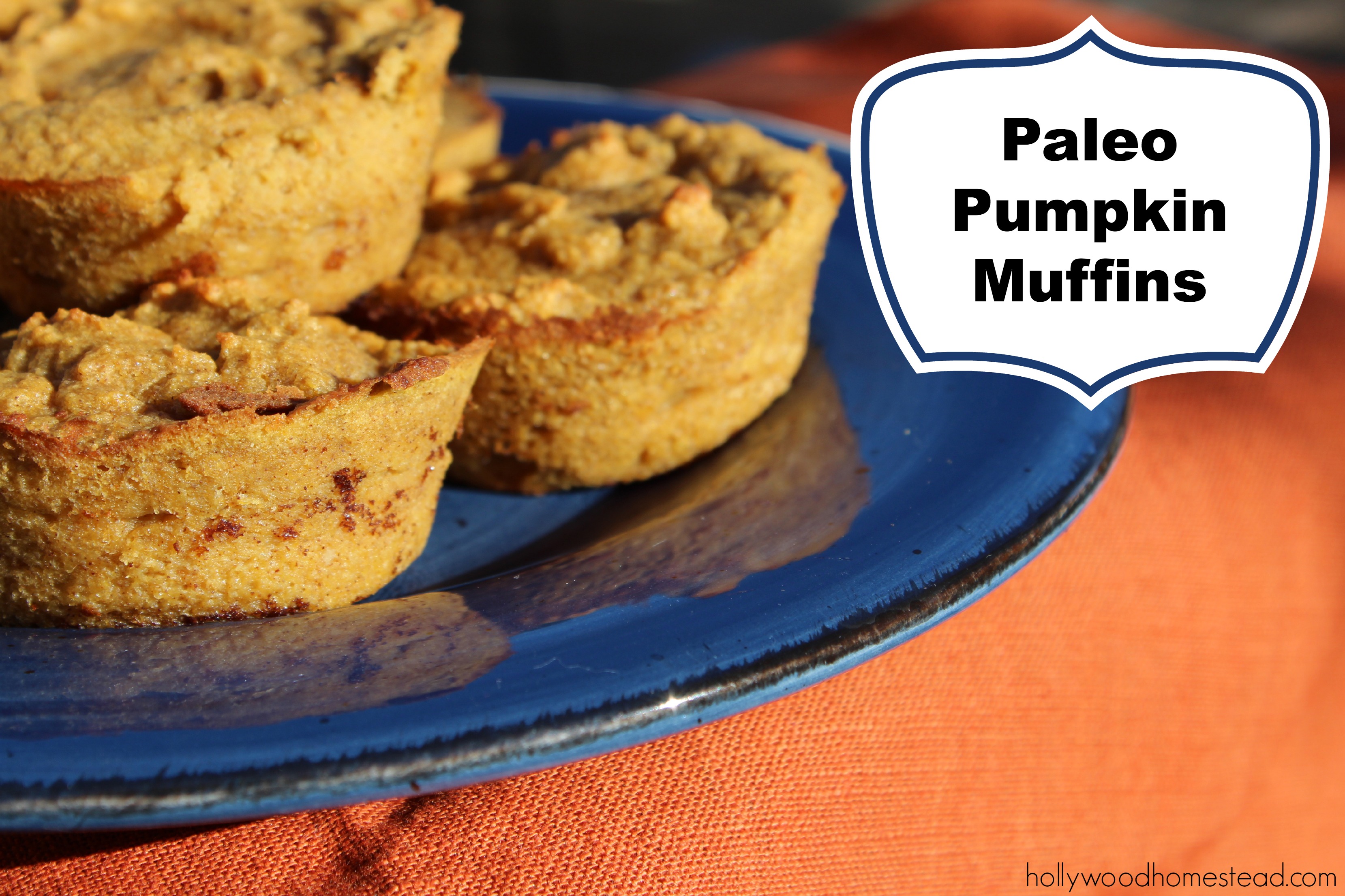 Paleo Pumpkin Muffins - Hollywood Homestead