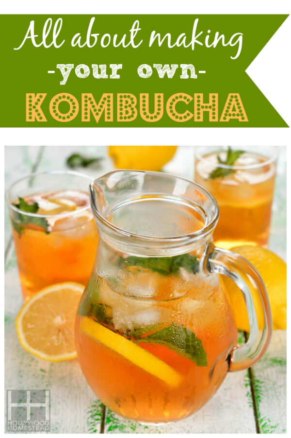 All About Making your own Kombucha Vertial WM