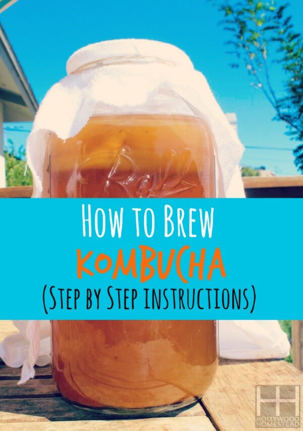 How to Brew Kombucha (step by step instructions)