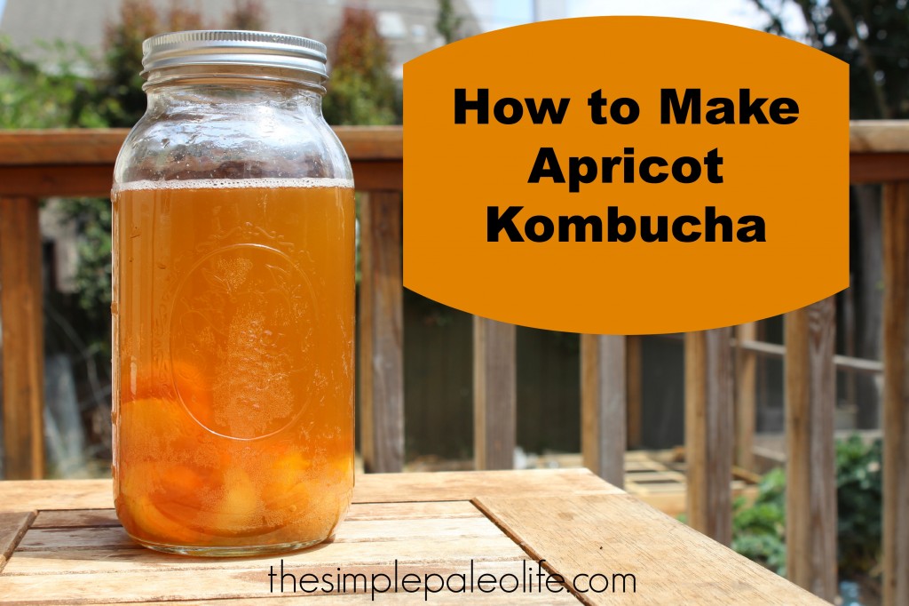 apricot kombucha