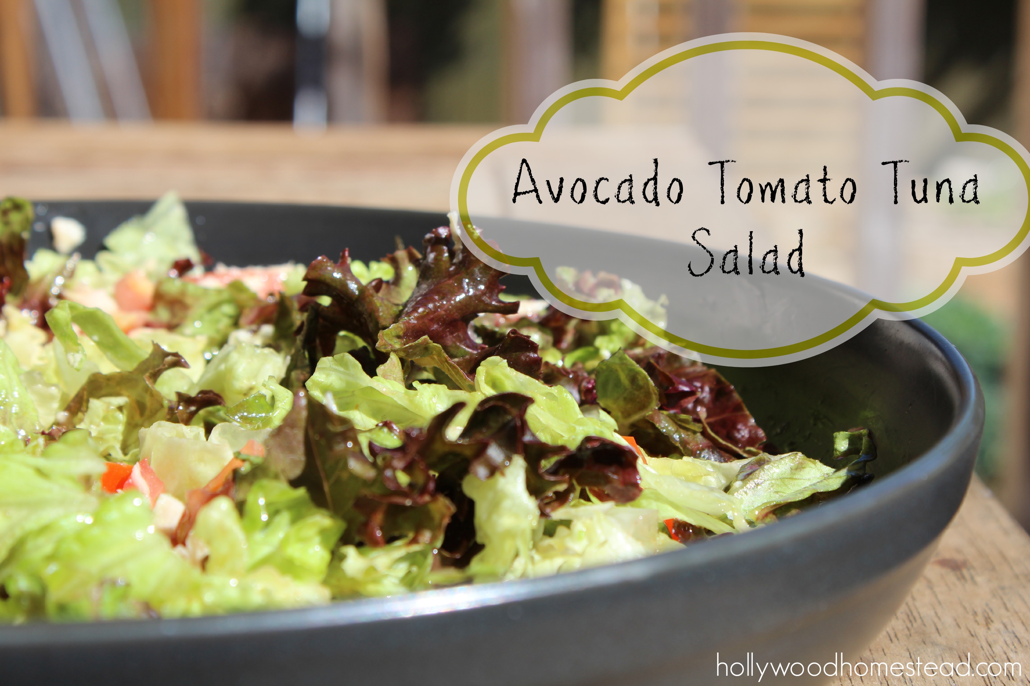 Paleo Lunch Ideas: Avocado Tomato Tuna Salad
