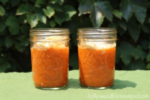 Fermented Carrots 
