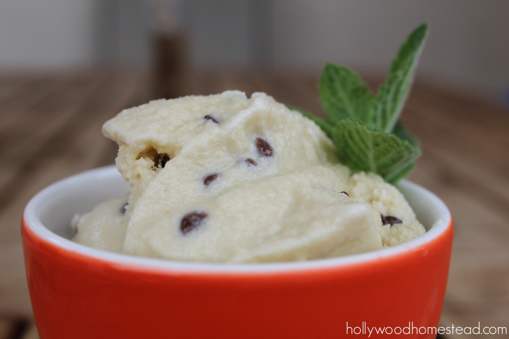 paleo ice cream