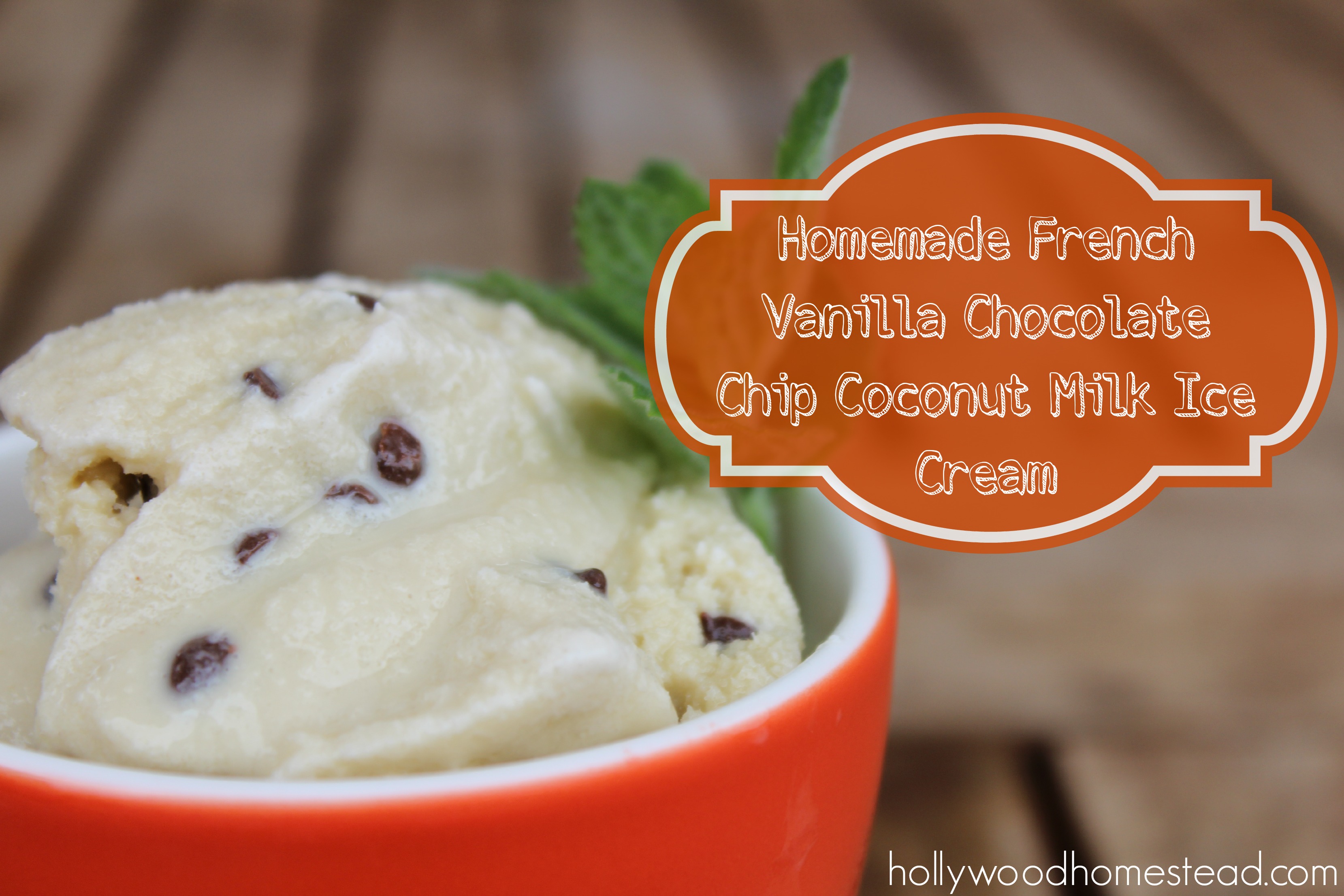 Paleo Vanilla Coconut Ice Cream Recipe (Dairy Free, Gluten Free)