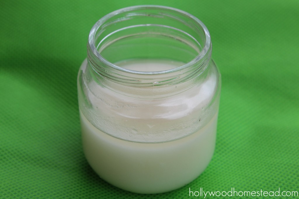 homemade mint toothpaste