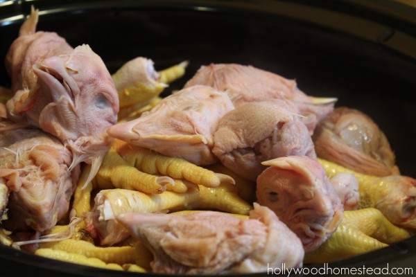 uncooked chicken 