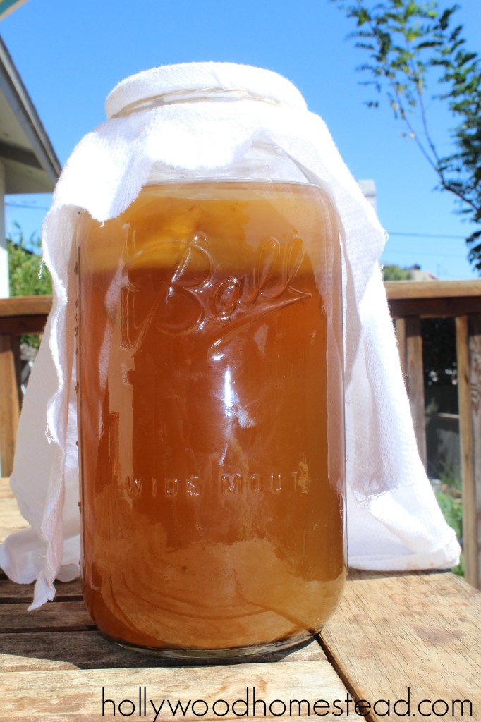 homemade kombucha