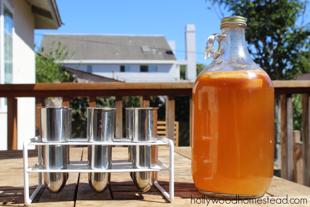 making kombucha popsicles