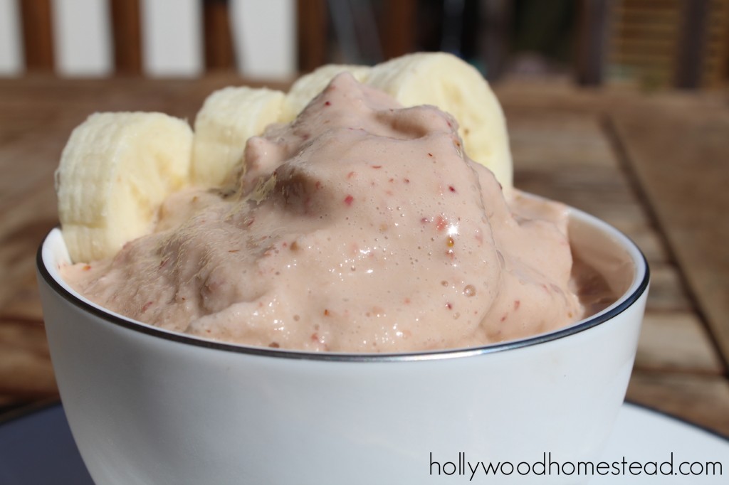 paleo ice cream strawberry banana