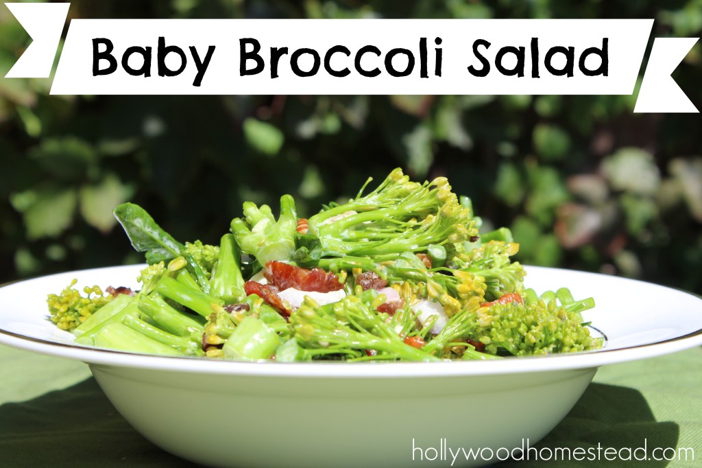 Baby Broccoli Salad recipe
