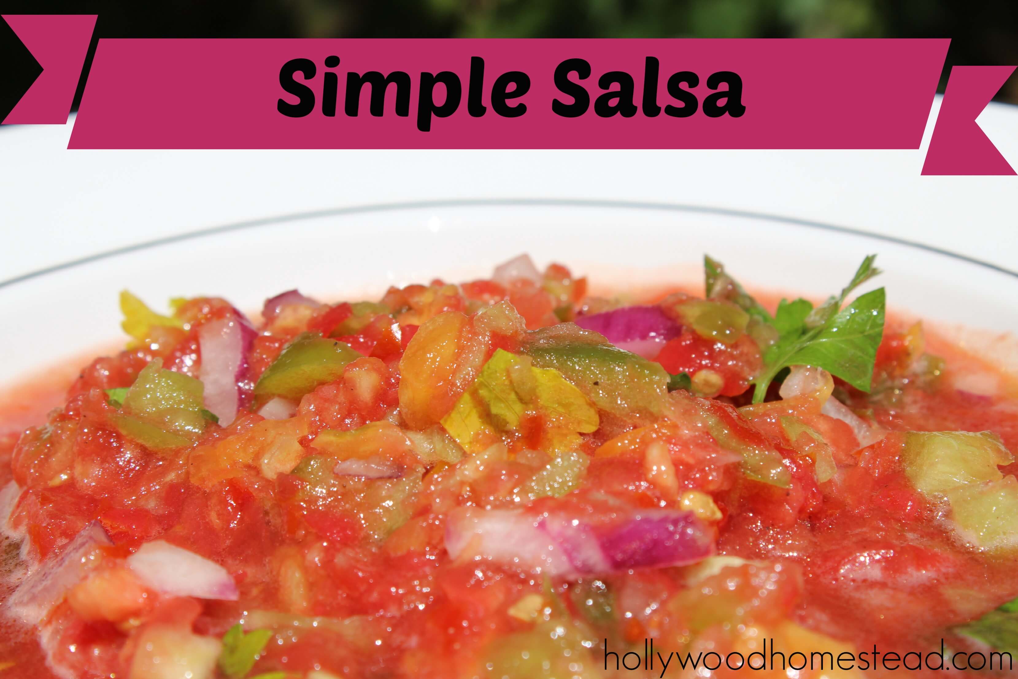 Simple Paleo Salsa Recipe