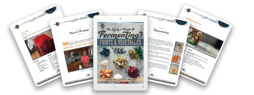 fermenting book