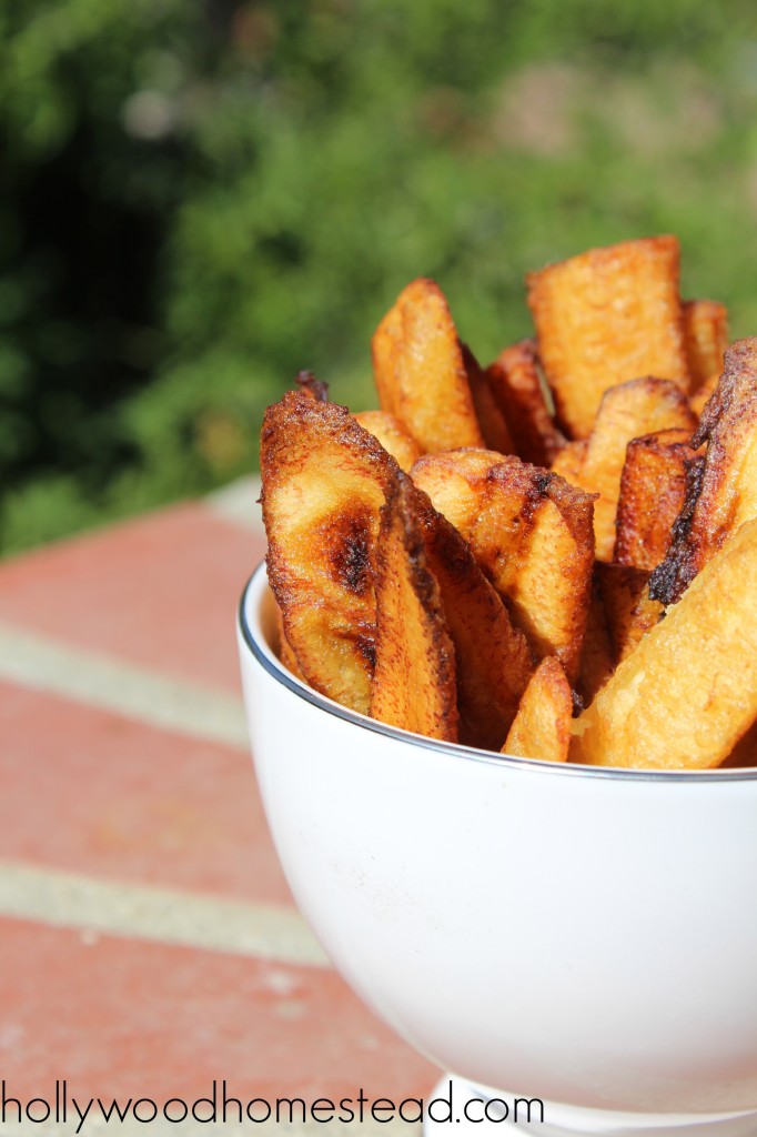 Banana Fries paleo