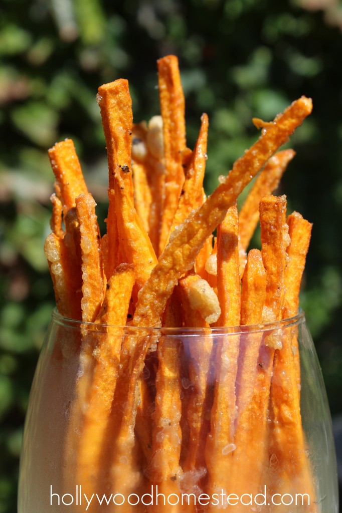 paleo sweet potato fries