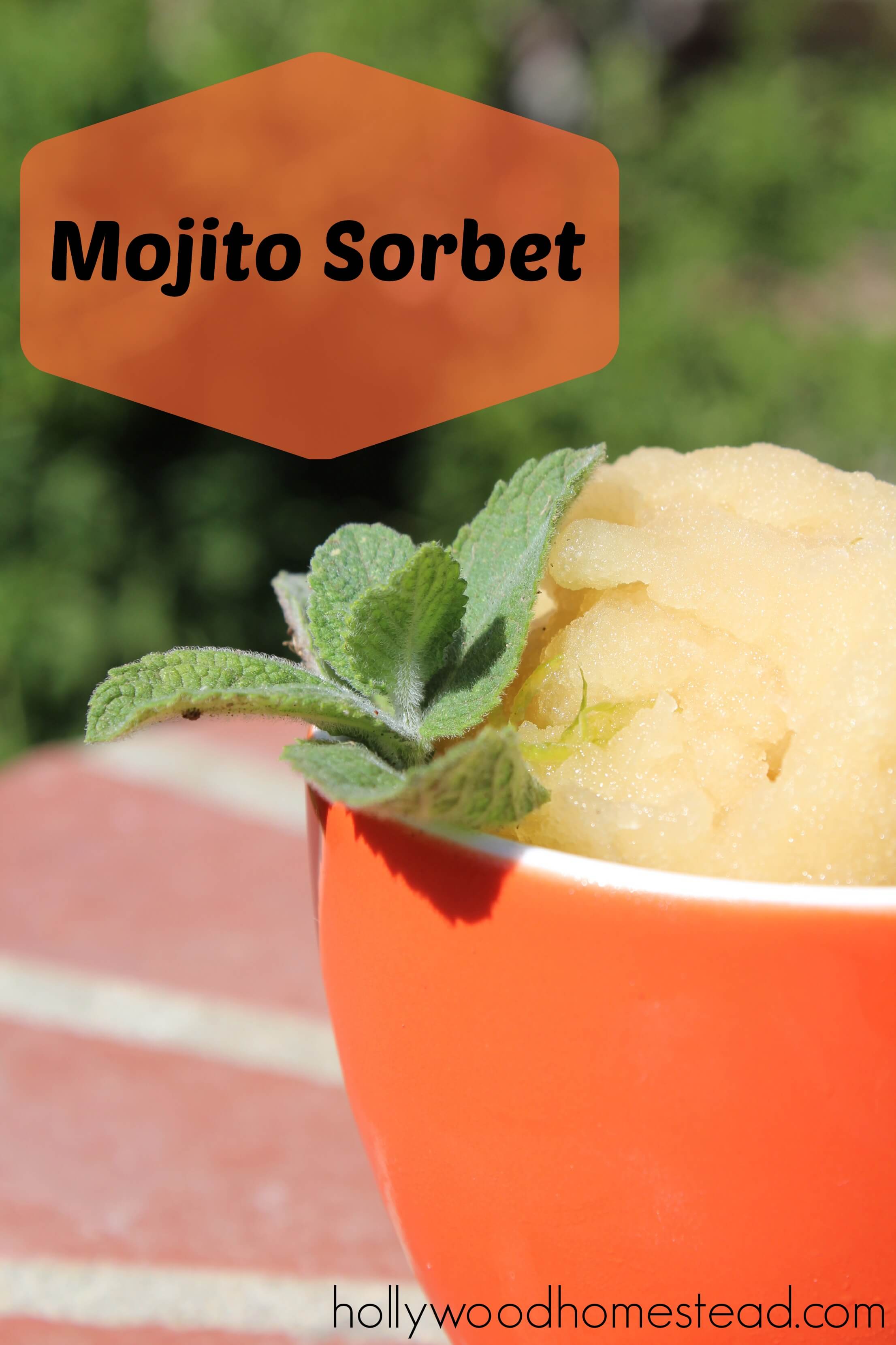 Mojito Sorbet (rum optional)