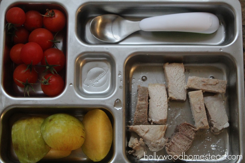 Paleo Kids: Preschool Lunch Ideas – 2