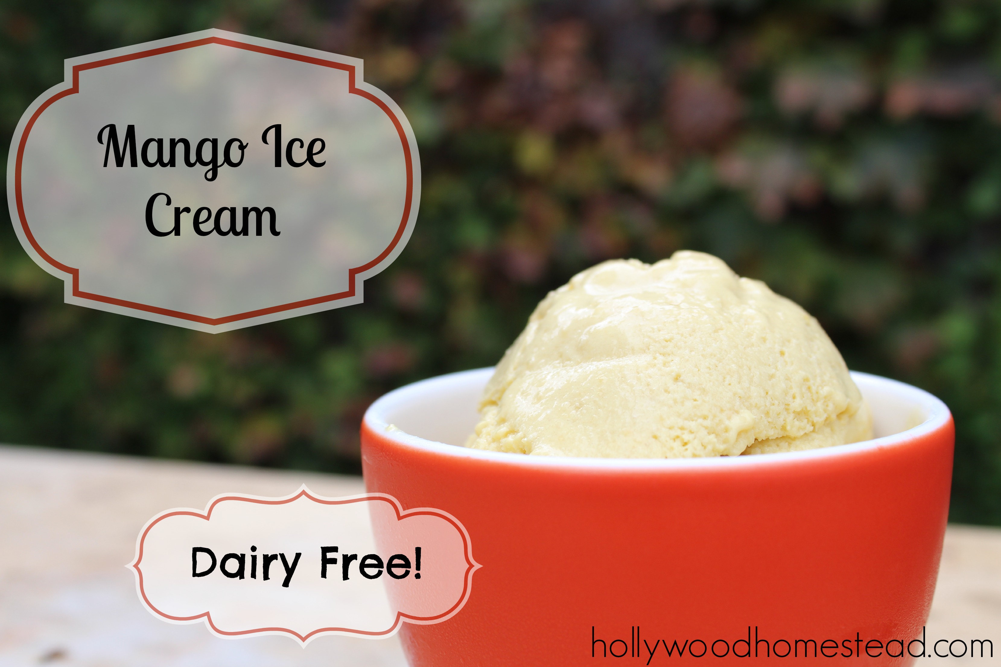 Paleo Mango Ice Cream (dairy free)