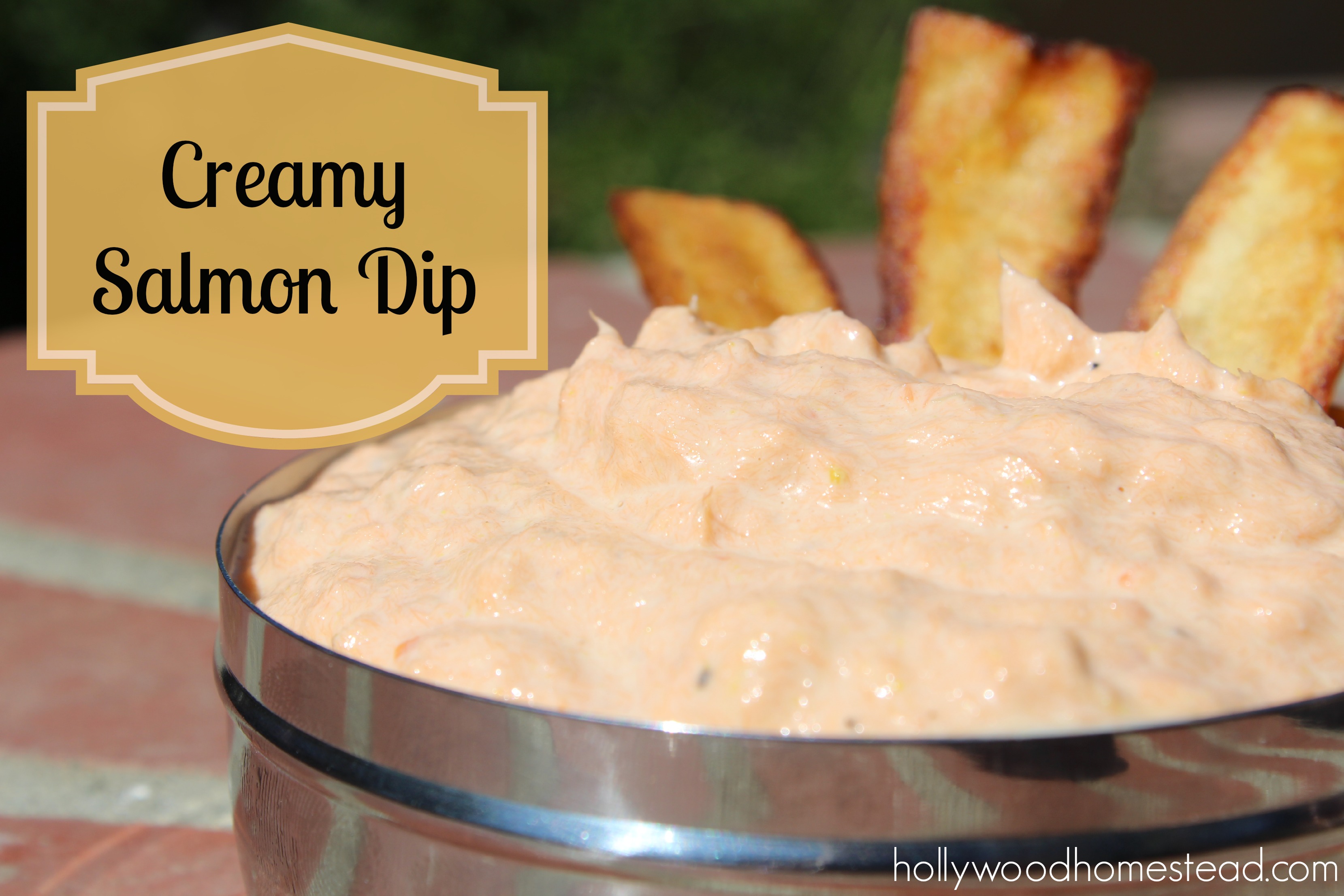 Creamy Paleo Salmon Dip