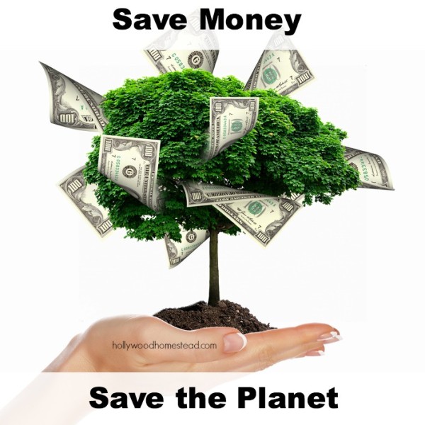 Sustainability At Home: Save Money, Save The Planet - Hollywood Homestead