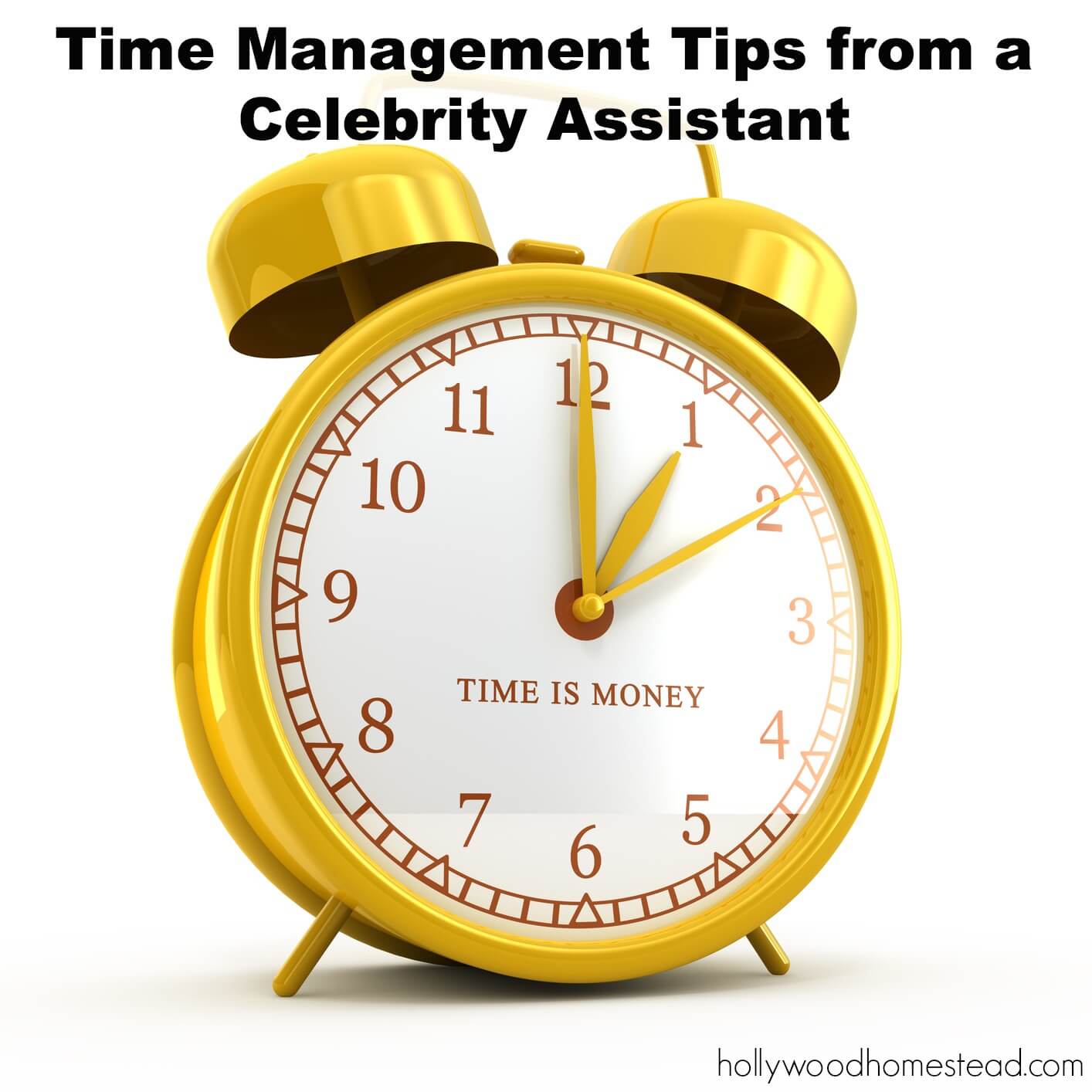 time-management-tips-from-a-celebrity-assistant-hollywood-homestead