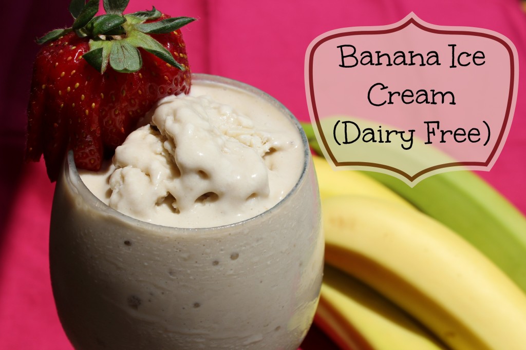 Dairy Free Banana Ice Cream Recipe
