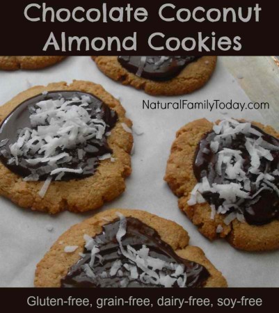 paleo almond cookies