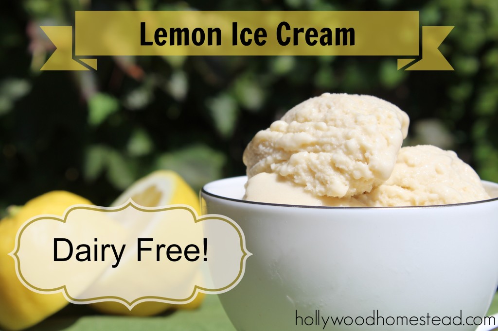 Dairy Free Lemon Ice Cream Recipe