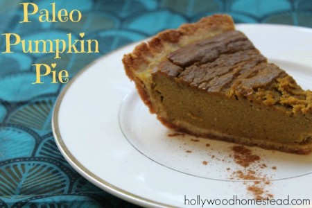 Paleo Pumpkin Pie Recipe - Hollywood Homestead