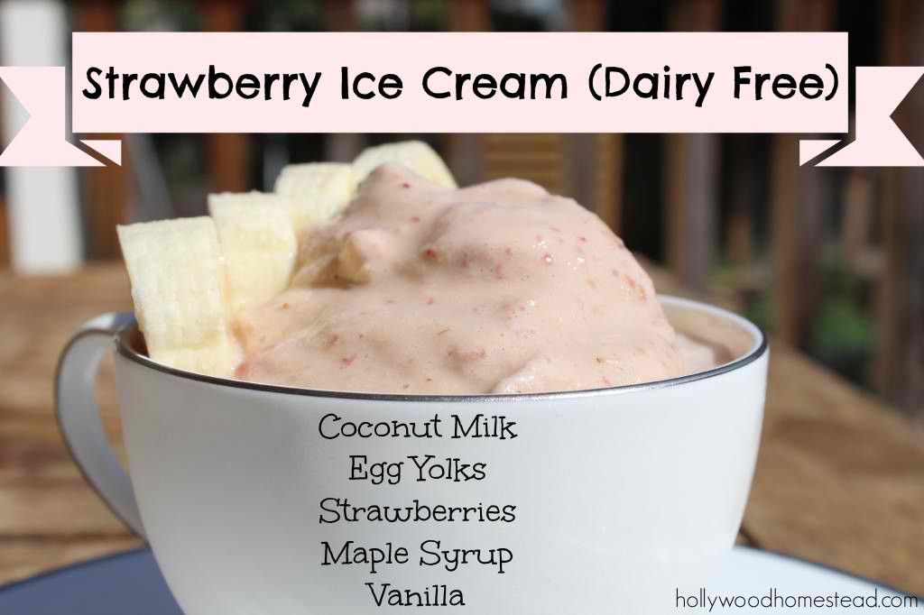 Paleo Strawberry Ice Cream (Dairy Free)