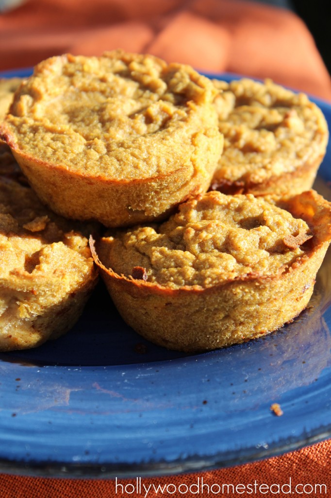 Paleo pumpkin muffins recipe