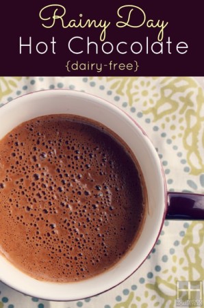 Rainy Day Paleo Hot Chocolate (Dairy Free) - Hollywood Homestead