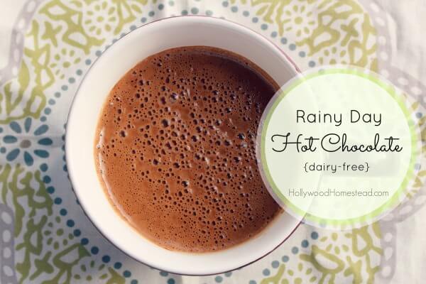 Rainy Day Paleo Hot Chocolate (Dairy Free) - Hollywood Homestead