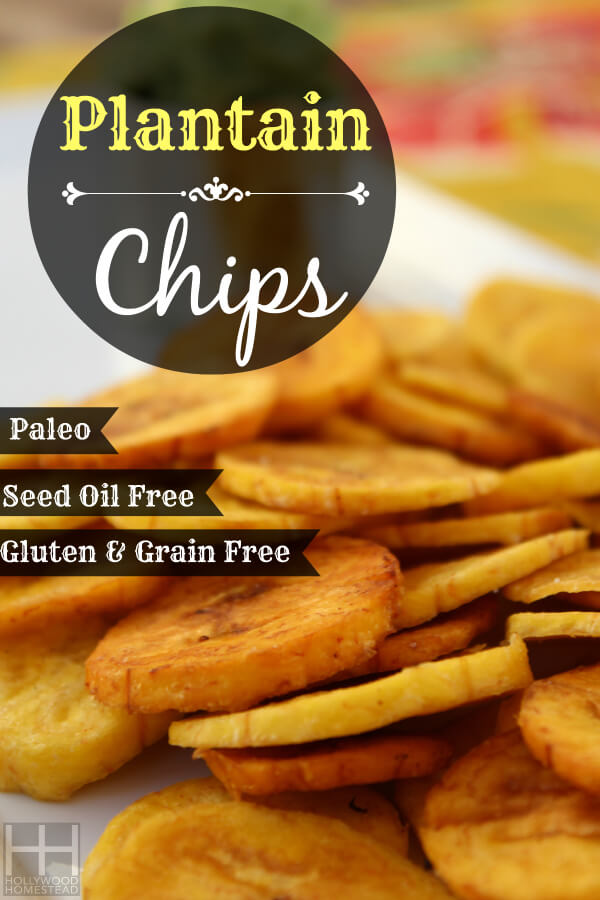 Plantain Chips - Hollywood Homestead