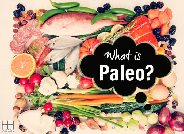 What is Paleo WM