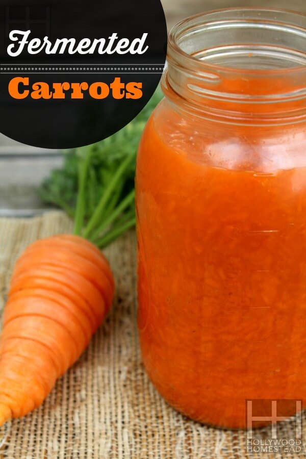 Fermented Carrots Vertical WM