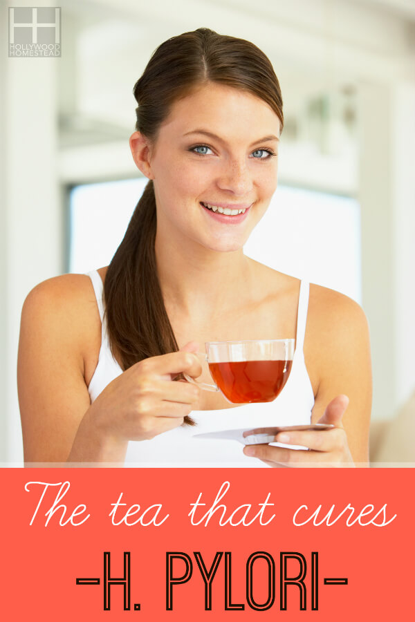 The tea that cures H. Pylori Naturally
