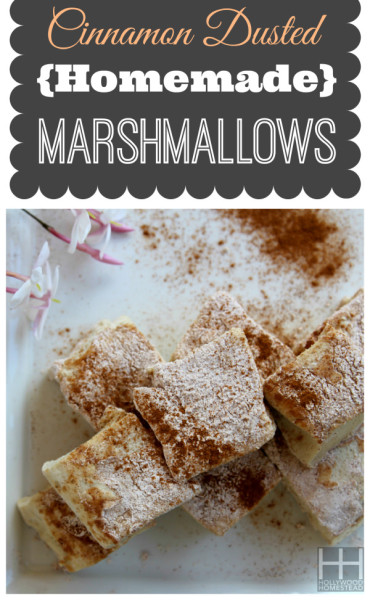 Cinnamon Covered Paleo Marshmallows (with chocolate dipped option ...