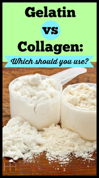 The Difference between Gelatin and Collagen - Hollywood Homestead