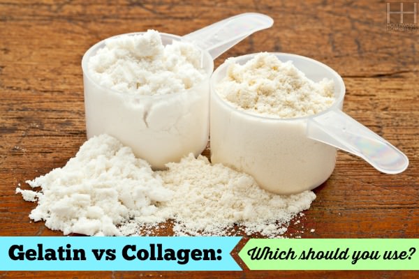 The Difference between Gelatin and Collagen - Hollywood Homestead