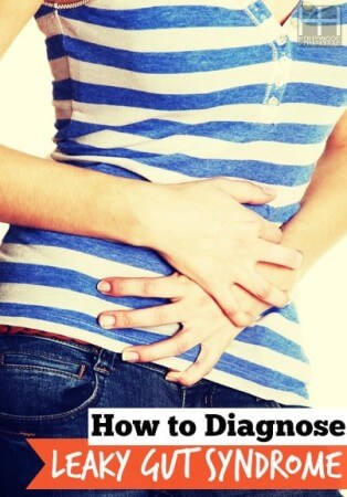 How to Diagnose Leaky Gut Syndrome - Hollywood Homestead