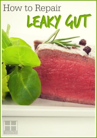 How to Repair Leaky Gut - Hollywood Homestead