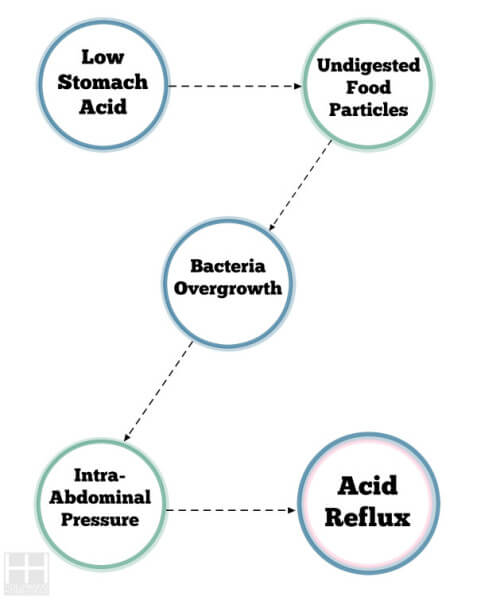 Treating SIBO (Part 3): Causes of SIBO - Hollywood Homestead