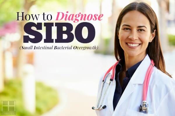 Treating SIBO (Part 4): Diagnosing SIBO - Hollywood Homestead