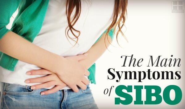 Treating SIBO (Part 2): Symptoms of SIBO - Hollywood Homestead