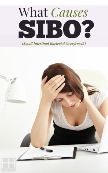 Treating SIBO (Part 3): Causes of SIBO - Hollywood Homestead