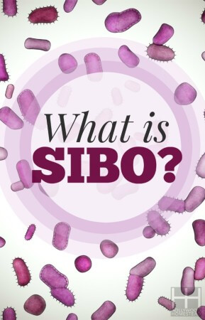 Treating SIBO (Part 1): What is SIBO? - Hollywood Homestead