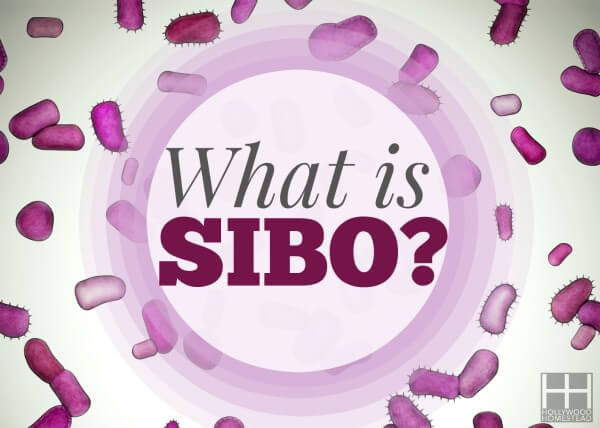 Treating SIBO (Part 1): What is SIBO?