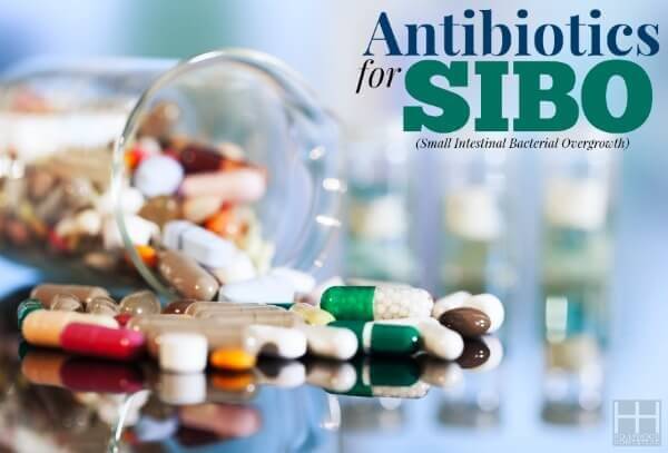 Treating SIBO (Part 7): Antibiotics for SIBO - Hollywood Homestead