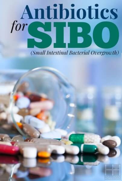 Treating SIBO (Part 7): Antibiotics for SIBO - Hollywood Homestead