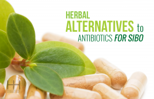 Herbal Alternatives To Antibiotics For Sibo - Hollywood Homestead